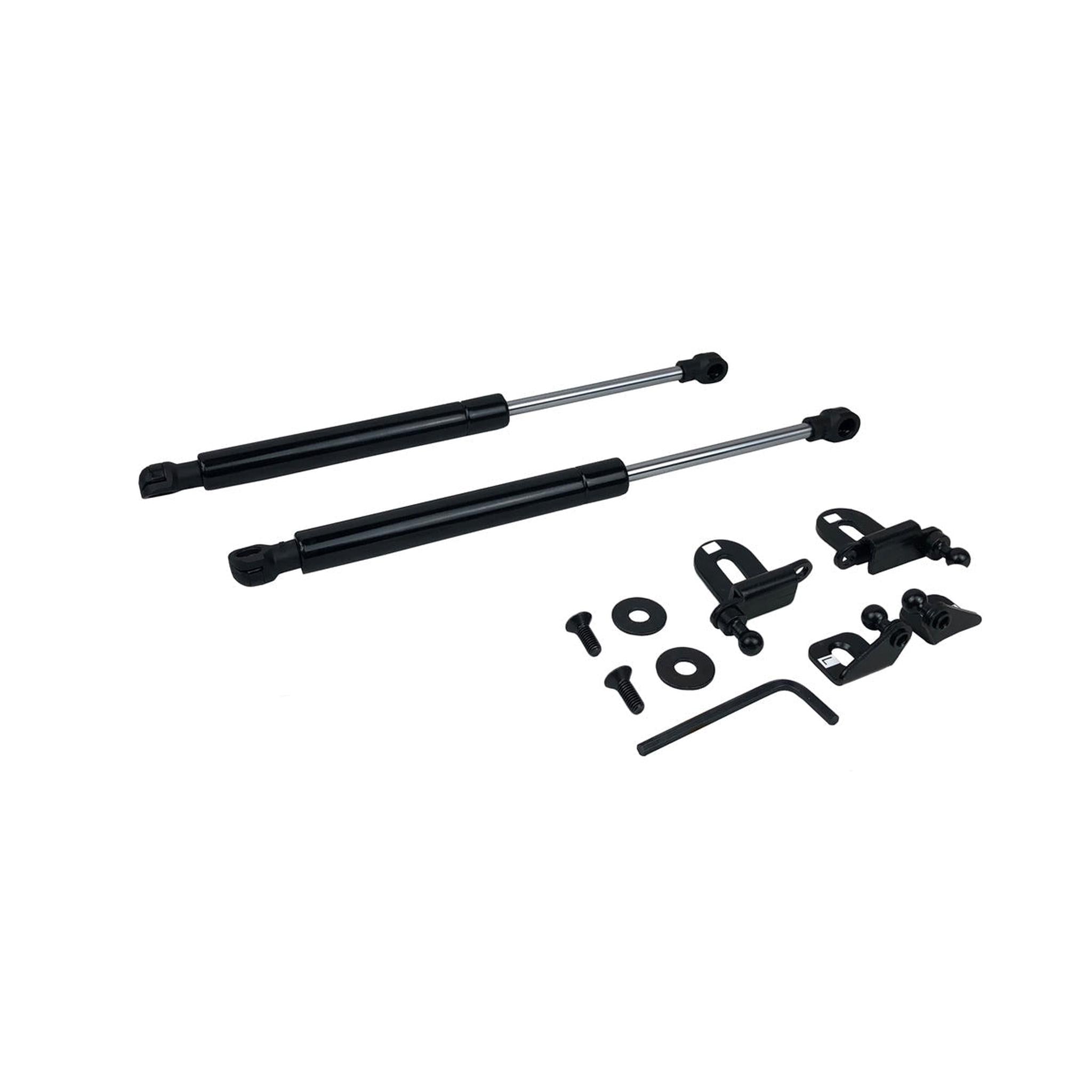 P2M Hood Dampers Black Series Infiniti G35 2003-2004