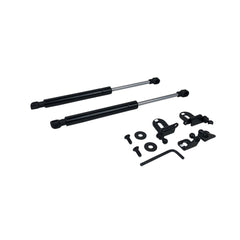 P2M Hood Dampers Black Series Infiniti G35 2003-2004