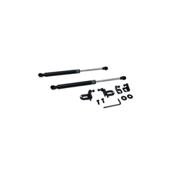P2M Hood Dampers Black Series Nissan 350Z 2003-2006