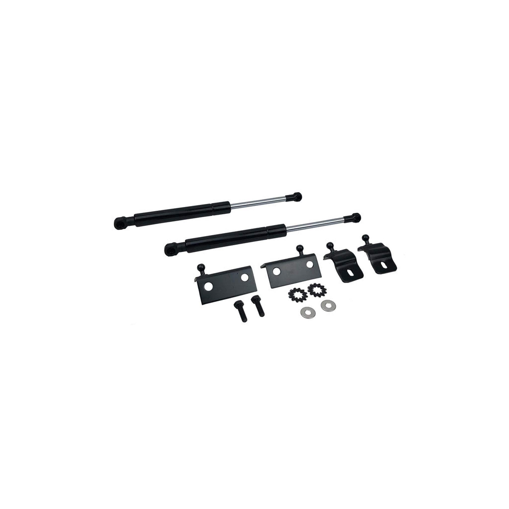 P2M Hood Dampers Nissan 370Z Z34 2009-2016