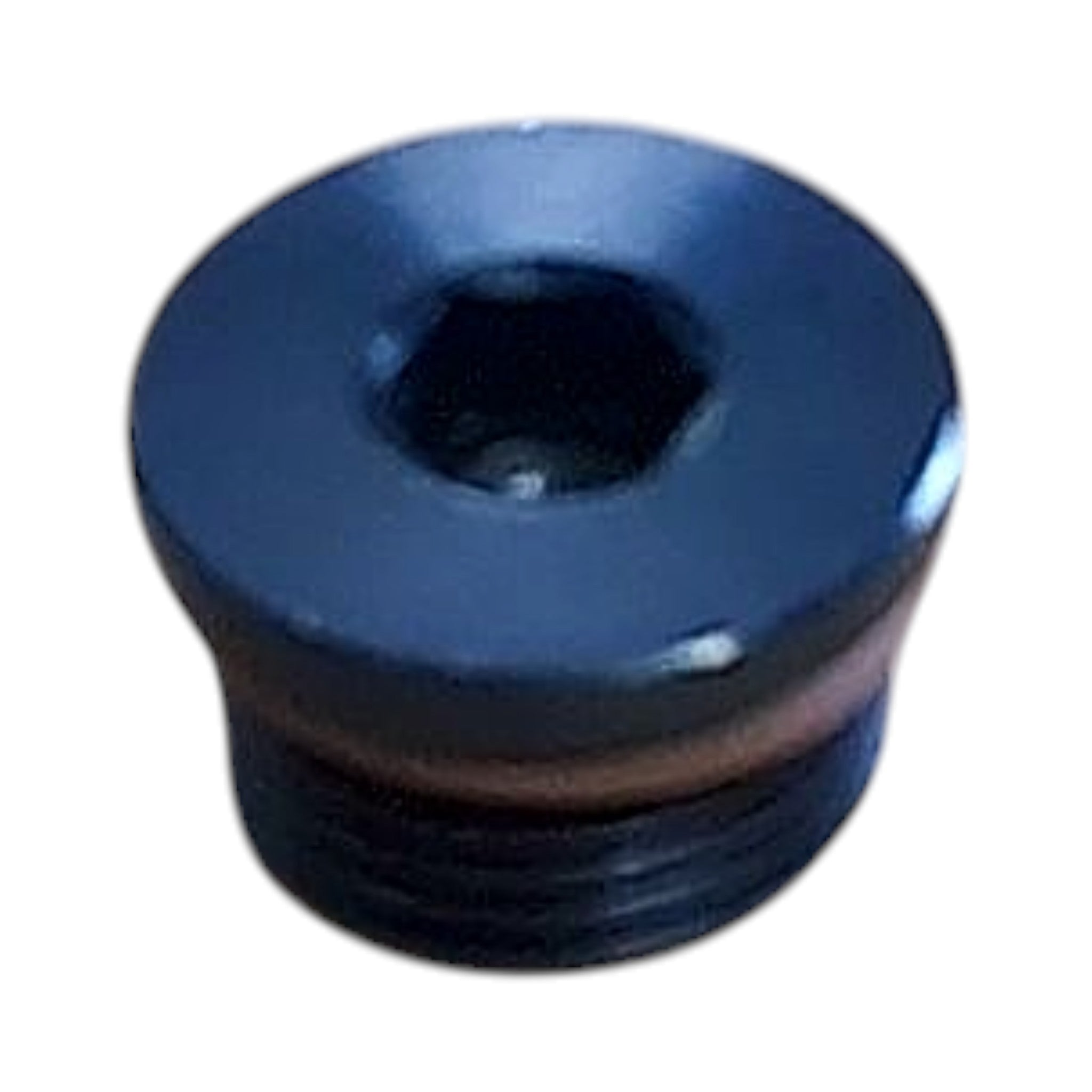 Radium Engineering 8AN ORB Plug