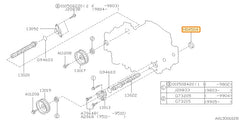 Subaru OEM Camshaft Plug | 807045040