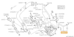 Subaru OEM Coolant Hose (10-12 Legacy) | 14472AA250