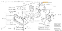 Subaru OEM Coolant Overflow Hose (15-21 WRX) | 45162AG021