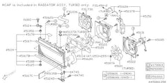 Subaru OEM Radiator Hose - Inlet 13-18 Crosstrek | 45161SC010