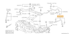 Subaru OEM Throttle Body Coolant Hose (15-21 WRX) | 21204AB290