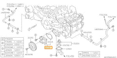 Subaru OEM Water Pump | 21110AA690