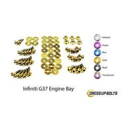 Fast Turn Fittings Infiniti G37 Coupe and Sedan (2008-2013) V36 Titanium Engine Bay Kit