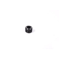Radium Engineering 1/8 NPT Plug