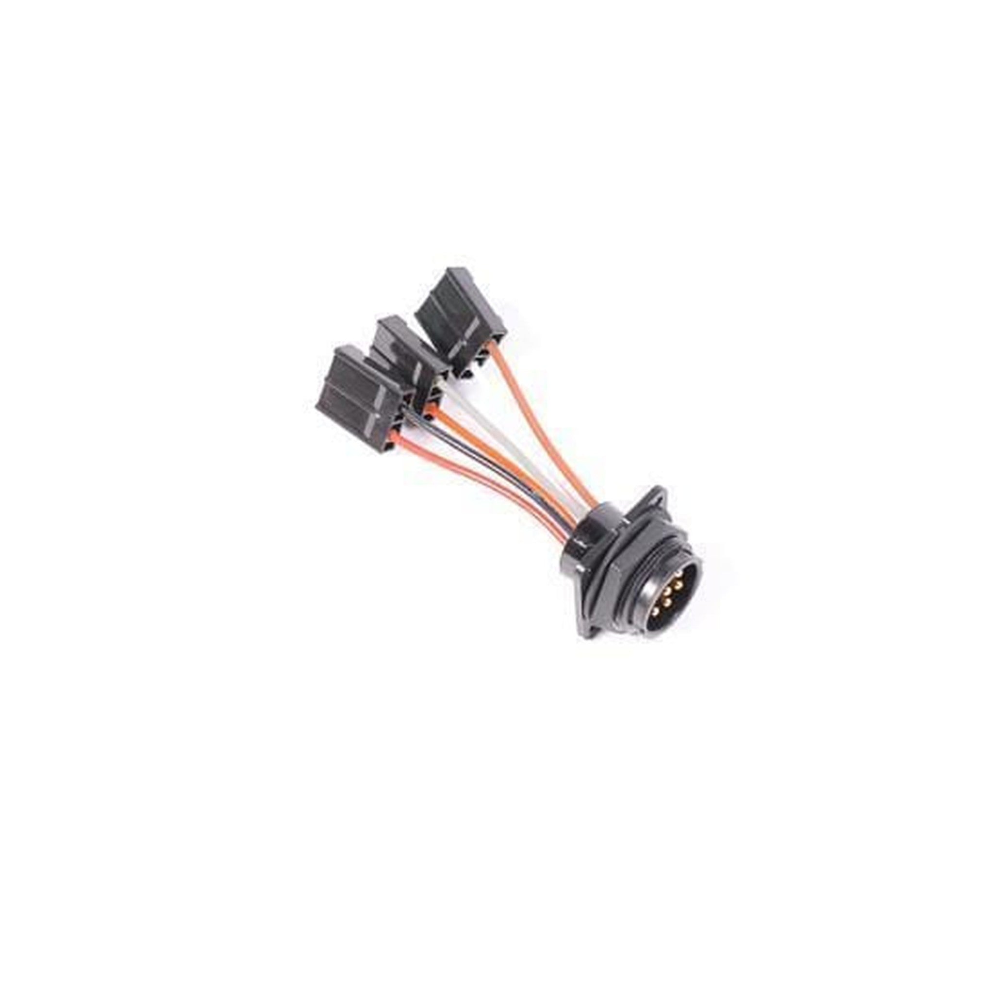 Radium Engineering Bulkead Harness Internal Triple Walbro GSS342 Pump