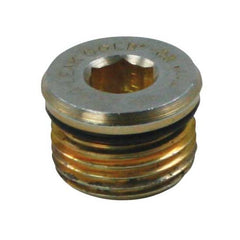 Moroso Drain Plug w/O-Ring -8An 3/4in-16 - Magnetic - Single | 97006