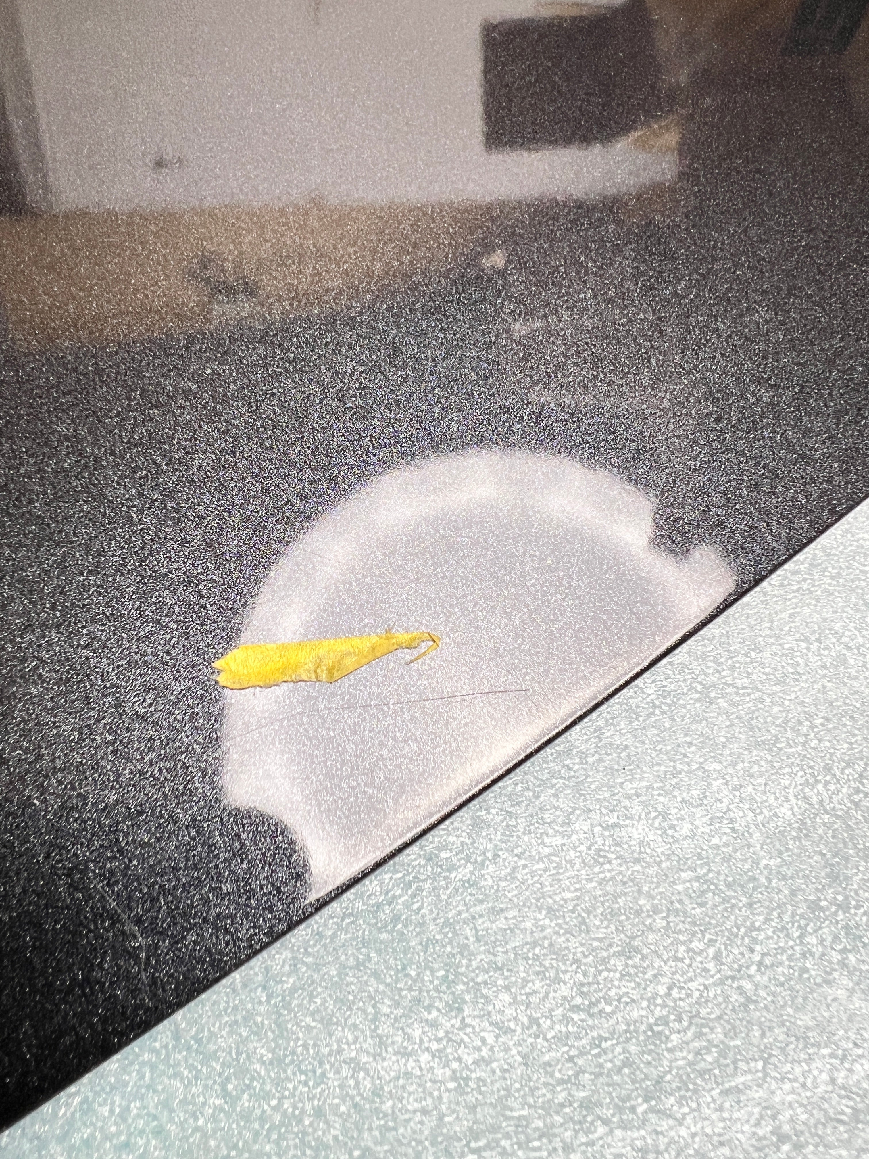 Clearance / OPEN BOX Noble Paint Matched Wing Stabilizer - 15-21 STI Wing