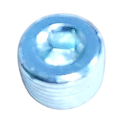 Killer B 1/2in NPT Chrome Plated Steel Plug | NPTPL