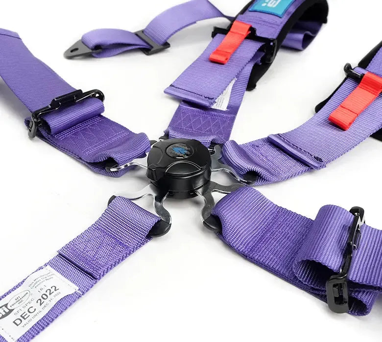 NRG 5PT 3in. Seat Belt Harness / Cam Lock - Purple | SBH-B6PCPP