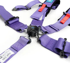 NRG 5PT 3in. Seat Belt Harness / Cam Lock - Purple | SBH-B6PCPP
