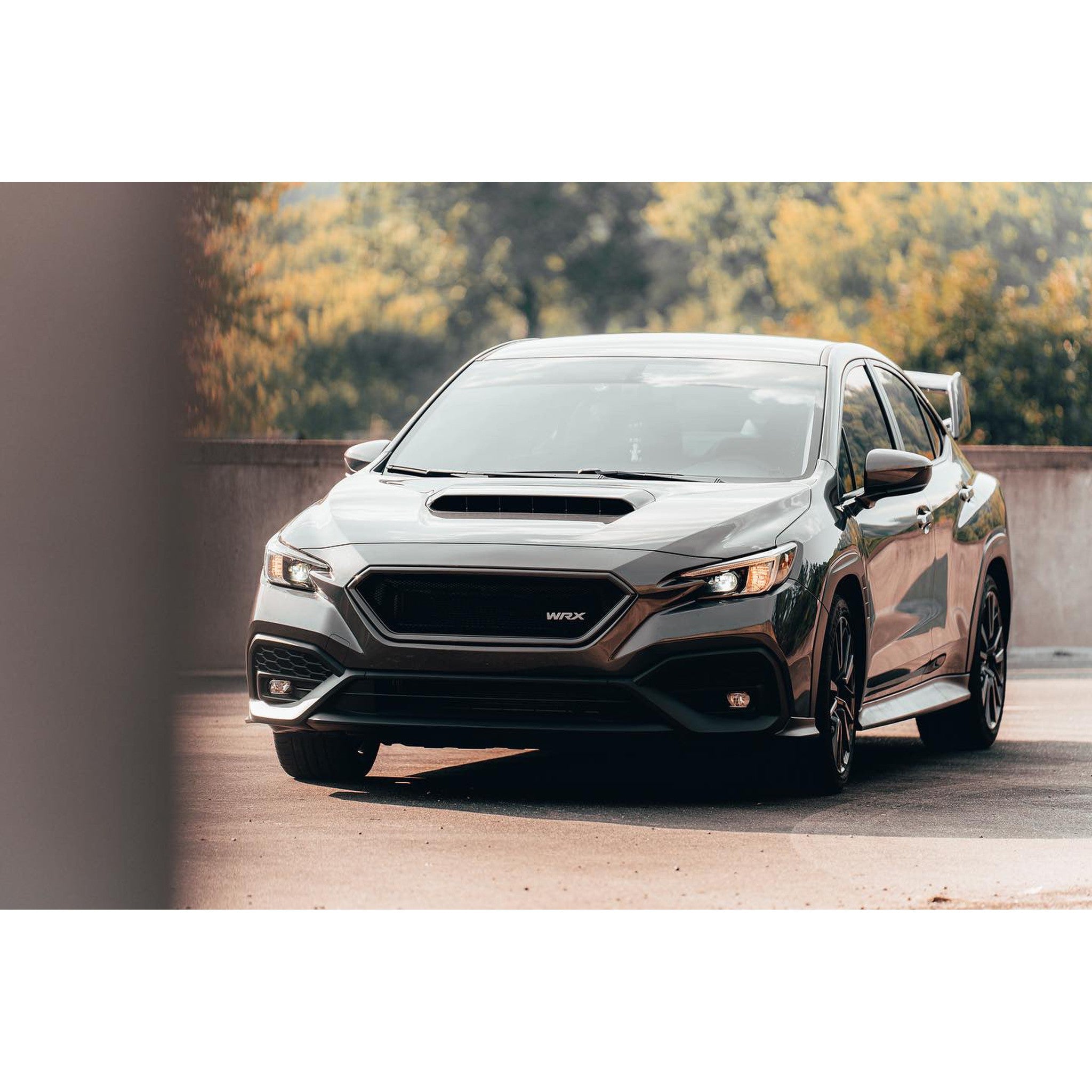 Noble CS Style Paint Matched ABS Grille Subaru WRX 2022-2026