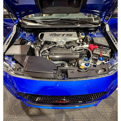 Noble LX Dry Carbon Fiber Radiator Cooling Plate Full Replacement - 2022-2026 WRX