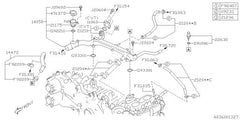 Subaru OEM CVT Cooler Hose - Lower 19-23 Crosstrek Hybrid