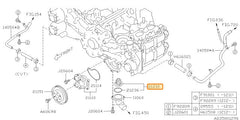 Subaru OEM Engine Coolant Thermostat Kit | 21210AA181