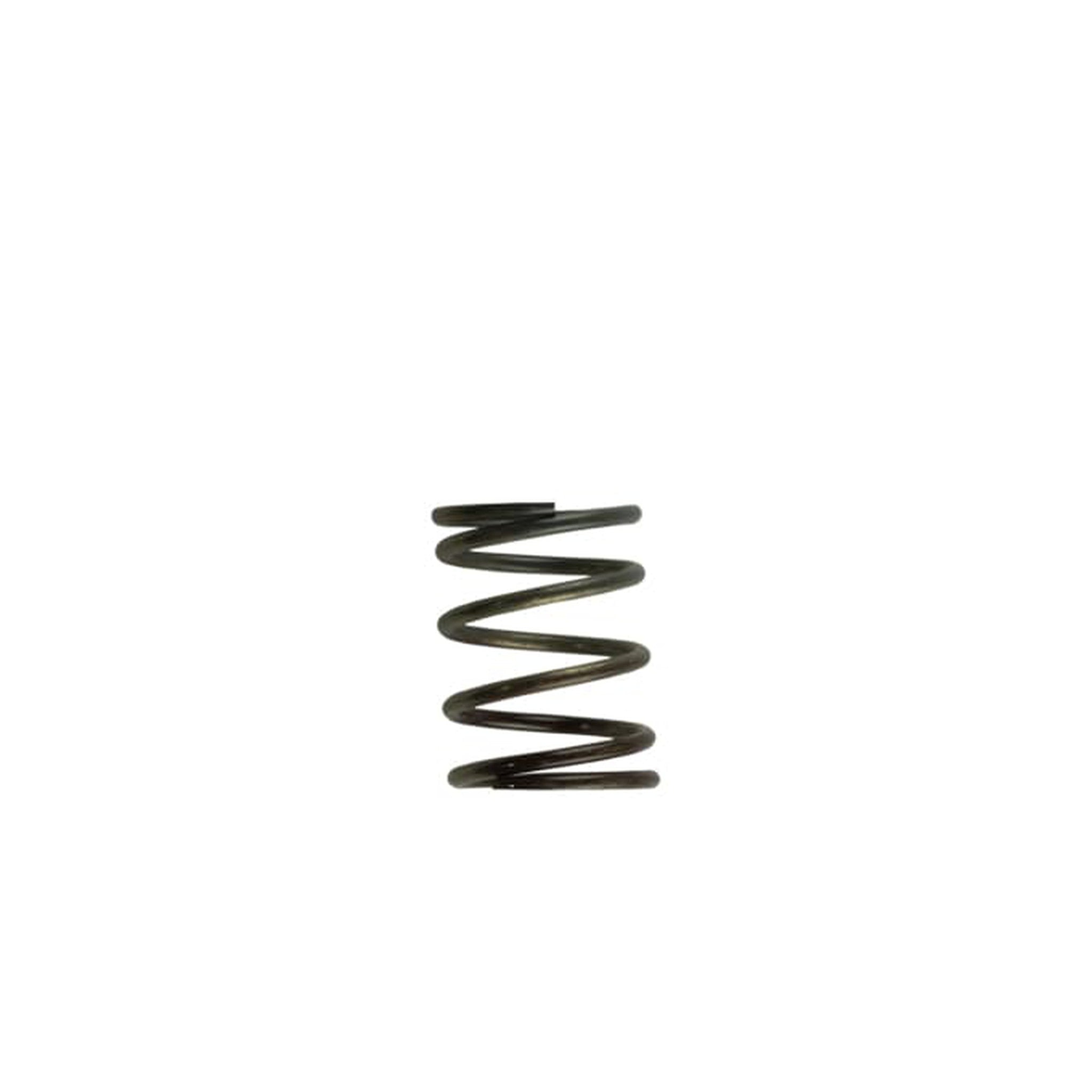Turbosmart WG40 5PSI Inner Spring Brown/Grey | TS-0505-2002