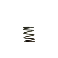 Turbosmart WG40 5PSI Inner Spring Brown/Grey | TS-0505-2002