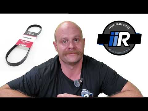 Gates Micro-V Alternator & Power Steering Belt for WRX & STI | K050344