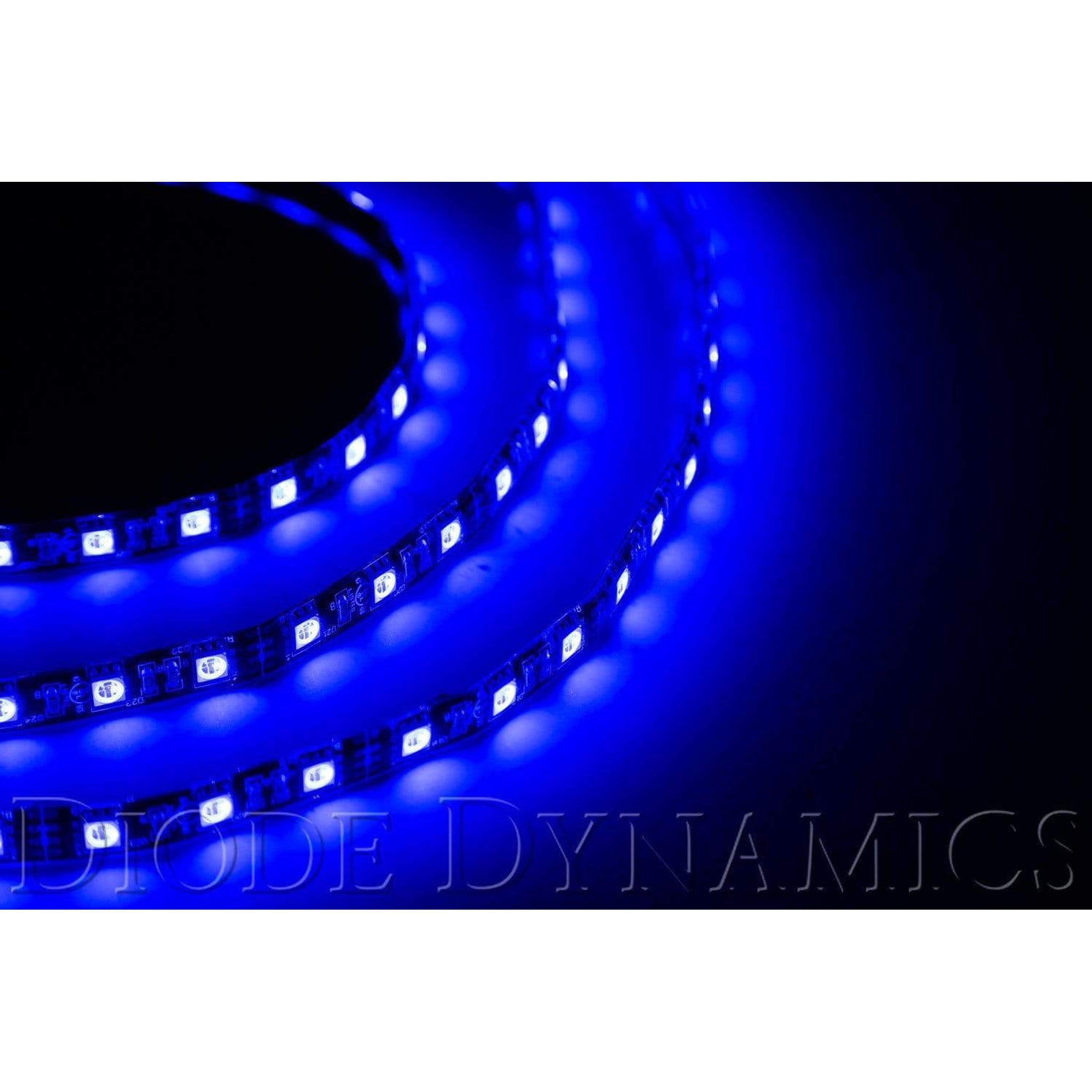 Diode Dynamics LED Strip Lights Blue 100cm Strip SMD100 WP
