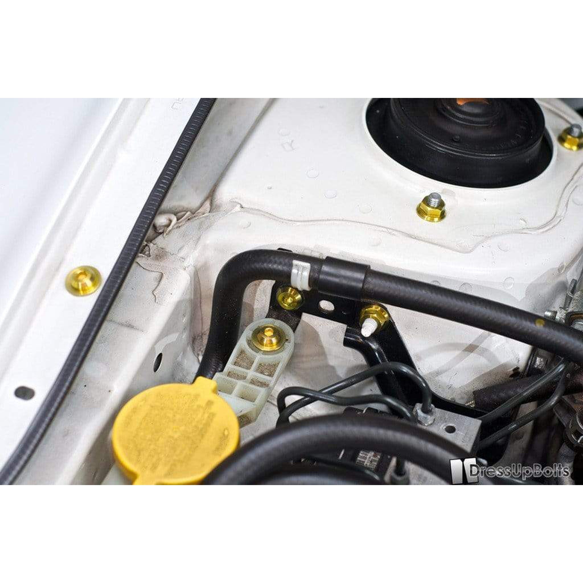 Fast Turn Fittings Titanium Engine Bay Kit Subaru WRX / STI 2008-2014