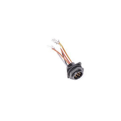 Radium Engineering Bulkead Harness Internal Triple Walbro F90000262 Pump