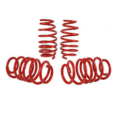 Skunk2 Lowering Springs Honda Civic Si 2012-2015 | 519-05-1585