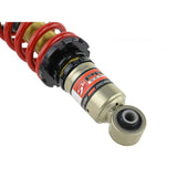 Skunk2 Pro S II Coilovers Acura RSX (All Models) 2002-2004 | 541-05-4730